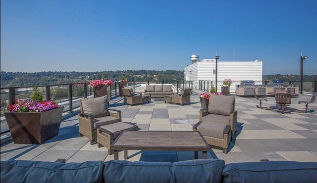 Studio near airport sleeps 4 near Bellevue | Seattle | Renton