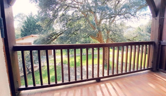 Studio near Contis beach