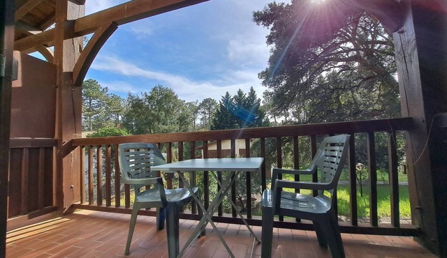 Studio near Contis beach