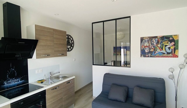 Studio NEAR BEACHES 20m2,terrace,free parking