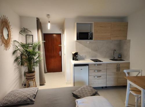 Studio neuf Cannes Marina jardin & piscine privée