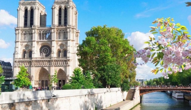 STUDIO NOTRE DAME - Latin Quarter