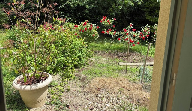 Studio on the banks of the Seine
