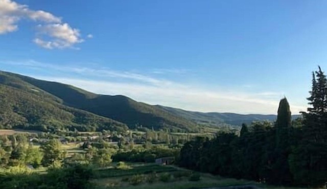 Studio: Panoramic View