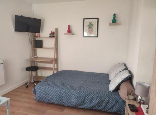 Studio pour Déplacements Professionnels- étudiant