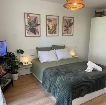 Studio Premium Haguenau cosy, tout équipé, calme, balcon