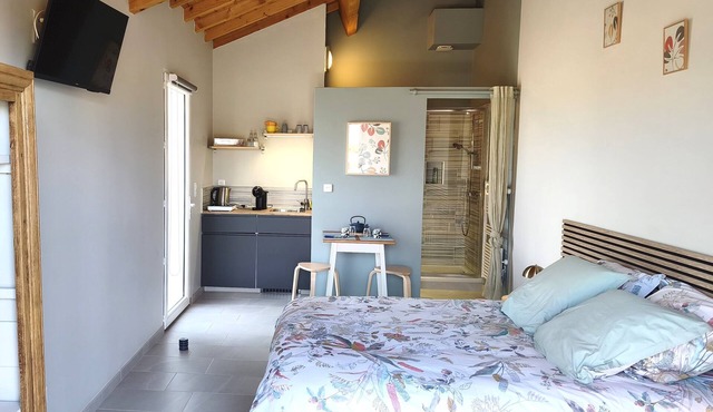 Studio "Private Room, En-Suite Bathroom" with Private Terrace, Wi-Fi and Air Conditioning