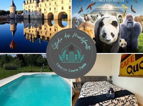 Studio proche Beauval et Châteaux de la Loire