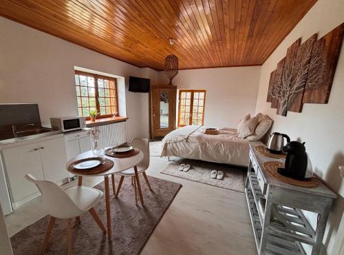 Studio proche de la cité médiévale Crémieu