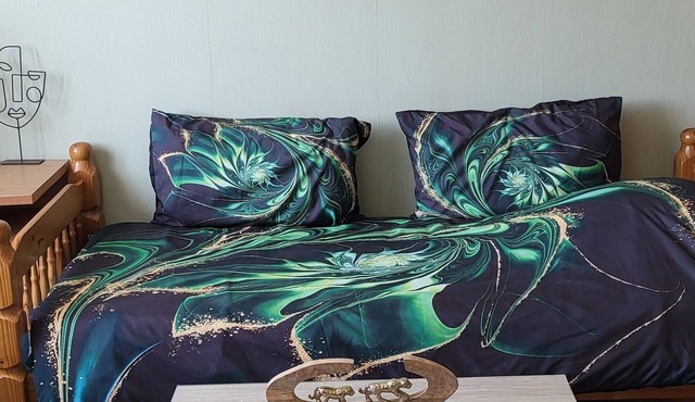 Studio proche du centre de Colmar avec jardin privatif