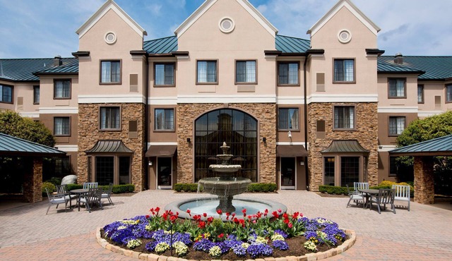 Studio Queen Suite | Free Breakfast & Pool
