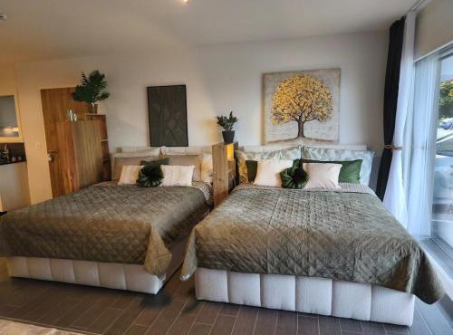 Studio Quiet neighbourhood in Bulle with Terrace, Free Parking, Fitness, Mountain View
