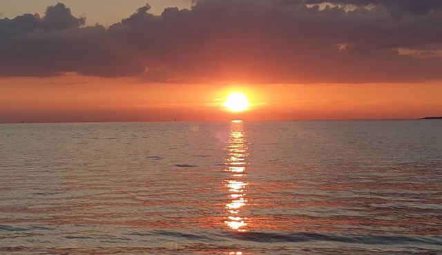 Studio Récent Pour 3 ou 4 Personnes