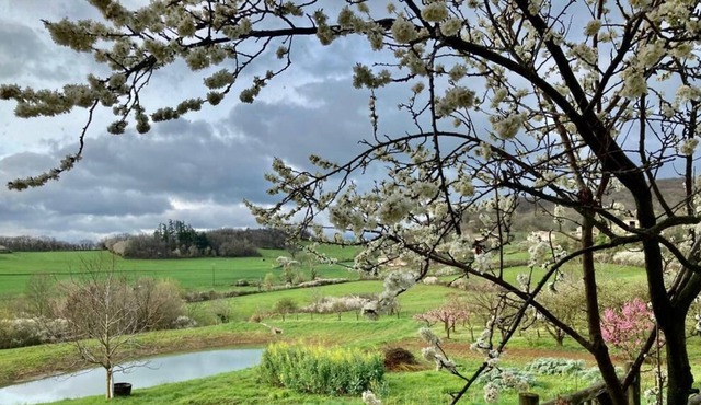 Studio Rénové, au Cœur du Pilat