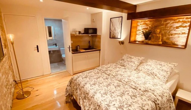Studio rénové avec patio, coeur du centre ville