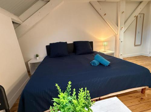 Studio rénové - Centre-ville + WIFI