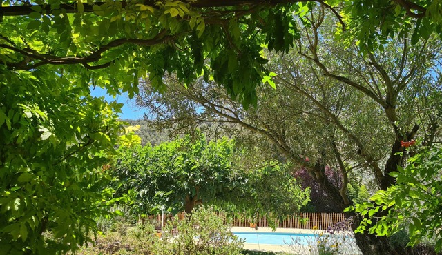 STUDIO - RECOMMENDED BY SMALL FUTE - SWIMMING POOL - VIEW ON VINES