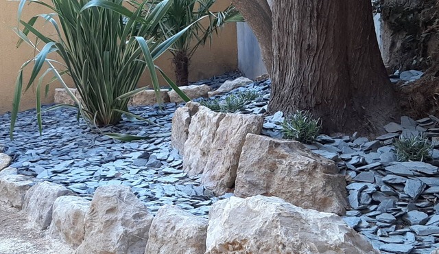 Studio Renove RDC Terrasse + Exterieur Paysage