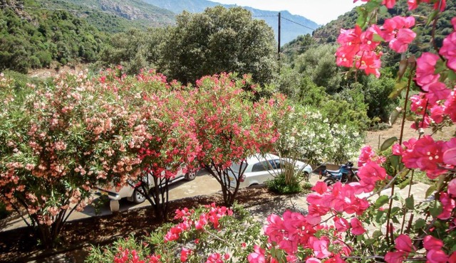 Studio Residence Cabanaccia Studio 38m² by Interhome