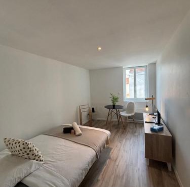 Studio Roanne 10 min gare