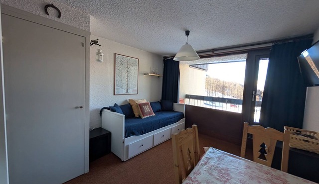Studio ski-in/ski-out 22m², pets allowed, with parking