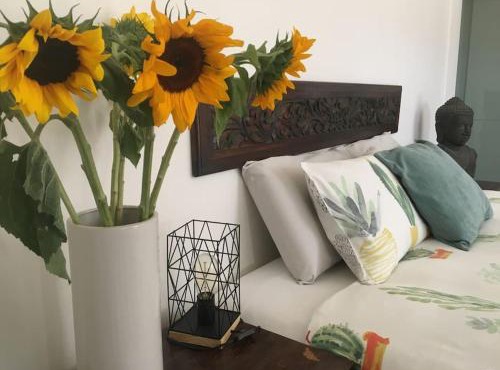 Studio South Port - Lush Private Oceanfront Studio Apartment