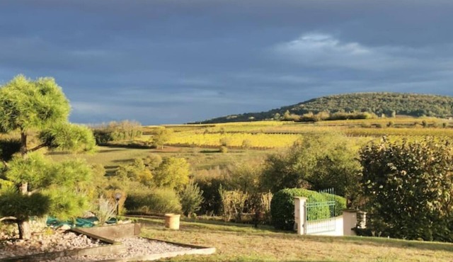 Studio Spacieux, Route des Vins
