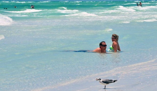 Studio Stand Alone with Shared Pool and FREE WiFi Close to Anna Maria Island