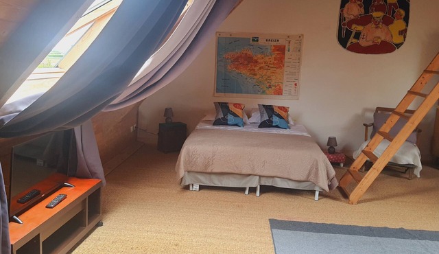 Studio-Suite-Wet room-Garden view