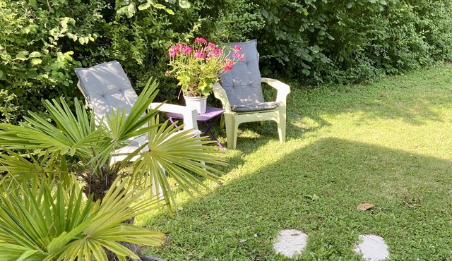 Studio surrounded by greenery