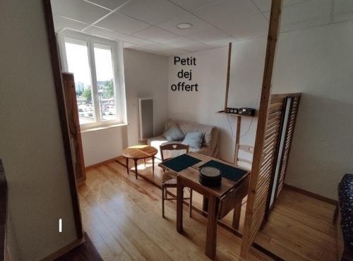 Studio sympa et très calme entre canal et Loire