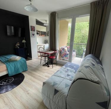 Studio T1 piscine chauffée parking gratuit les hauts dhonfleur