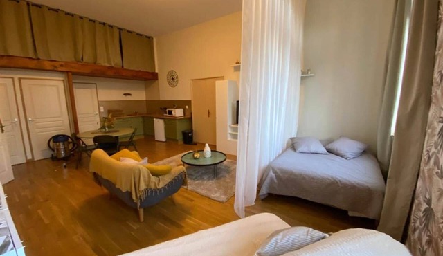 Studio Taffetas Ô Domaine