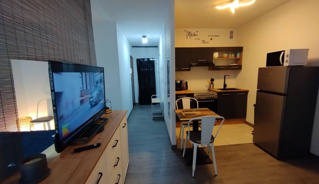 Studio Terrasse Parking Douche Clim Rénové