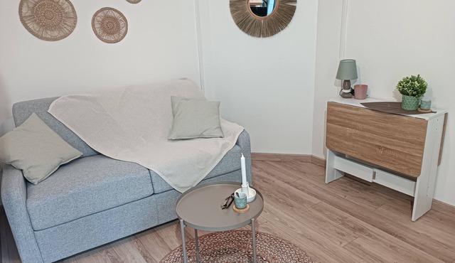 Studio Totalement Meublé "Le Nordique"