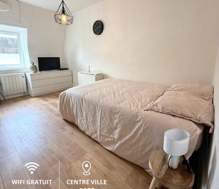 Studio tout confort cité de la gastronomie (4)