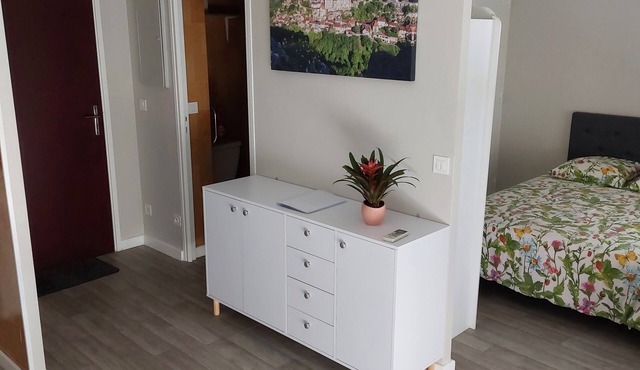 Studio type T2, hypercentre, furnished with air conditioning and parking