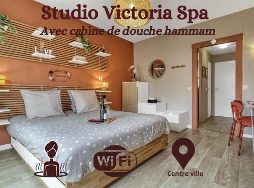 Studio Victoria SPA, au coeur du centre-ville CABINE HAMMAM -WIFI -GRAND LIT DOUBLE QUEEN SIZE 160x200cm