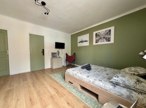 Studio Vienne - Spacieux et confortable en plein centre