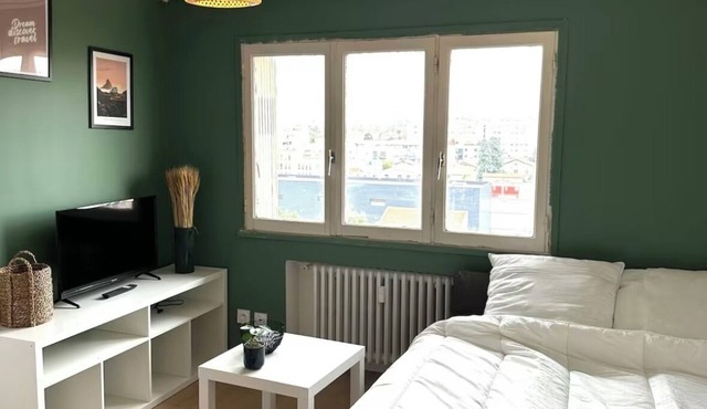 Studio Villeurbanne - Flachet