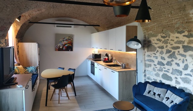 Studio Voûté Atypique