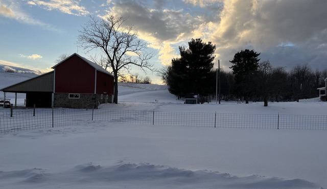 Studio w/kitchen on Alpaca farm Sodus Bay, Wine trails & Brantling ski slope