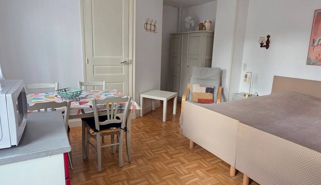 Studio with balcony, shared garden, WIFI, near the spa