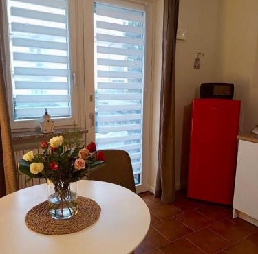 Studio with garden