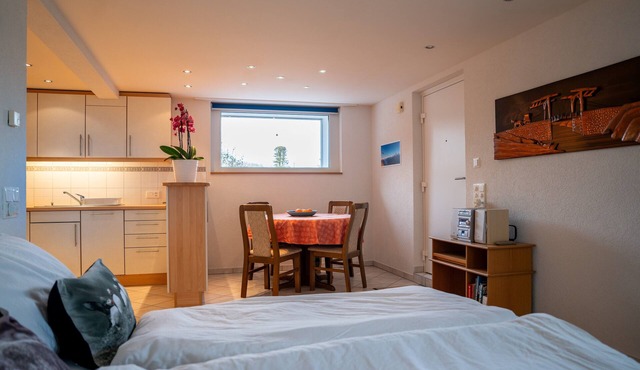 Studio with kitchen for 2 people, 10 min. to the lake and 1 min. to the bus stop in Spiez