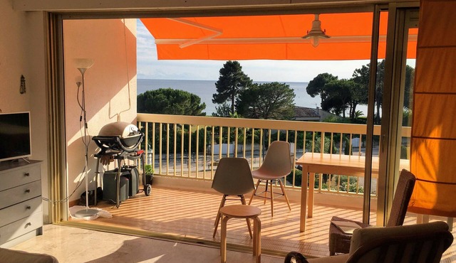 STUDIO with magnificent Terrace SAGONE - 20118