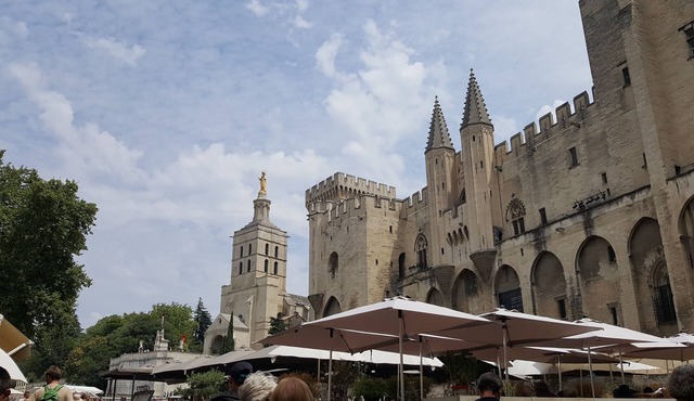 Studio with mezzanine and pool near Avignon