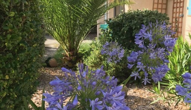 STUDIO WITH PRETTY BEDROOM, KITCHENETTE, TERRACES