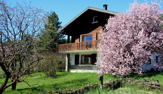 STUDIO with wooden terrace in chalet