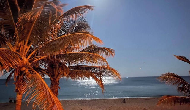 StudioBTS - Right on the beach!